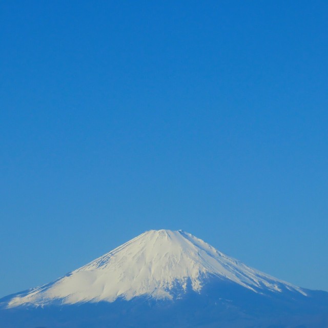 CIMG9102_1.jpg